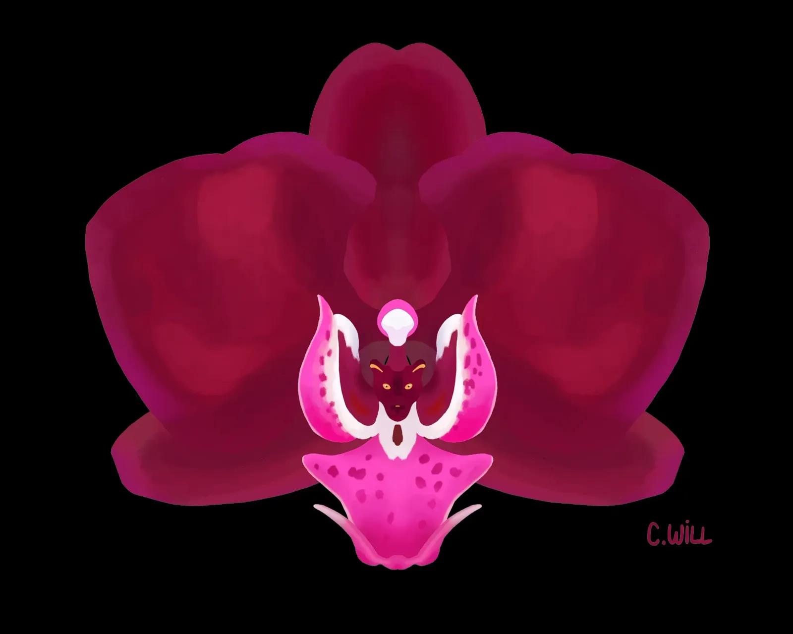 Orchidea pantera pellicola backlit da C.WILL