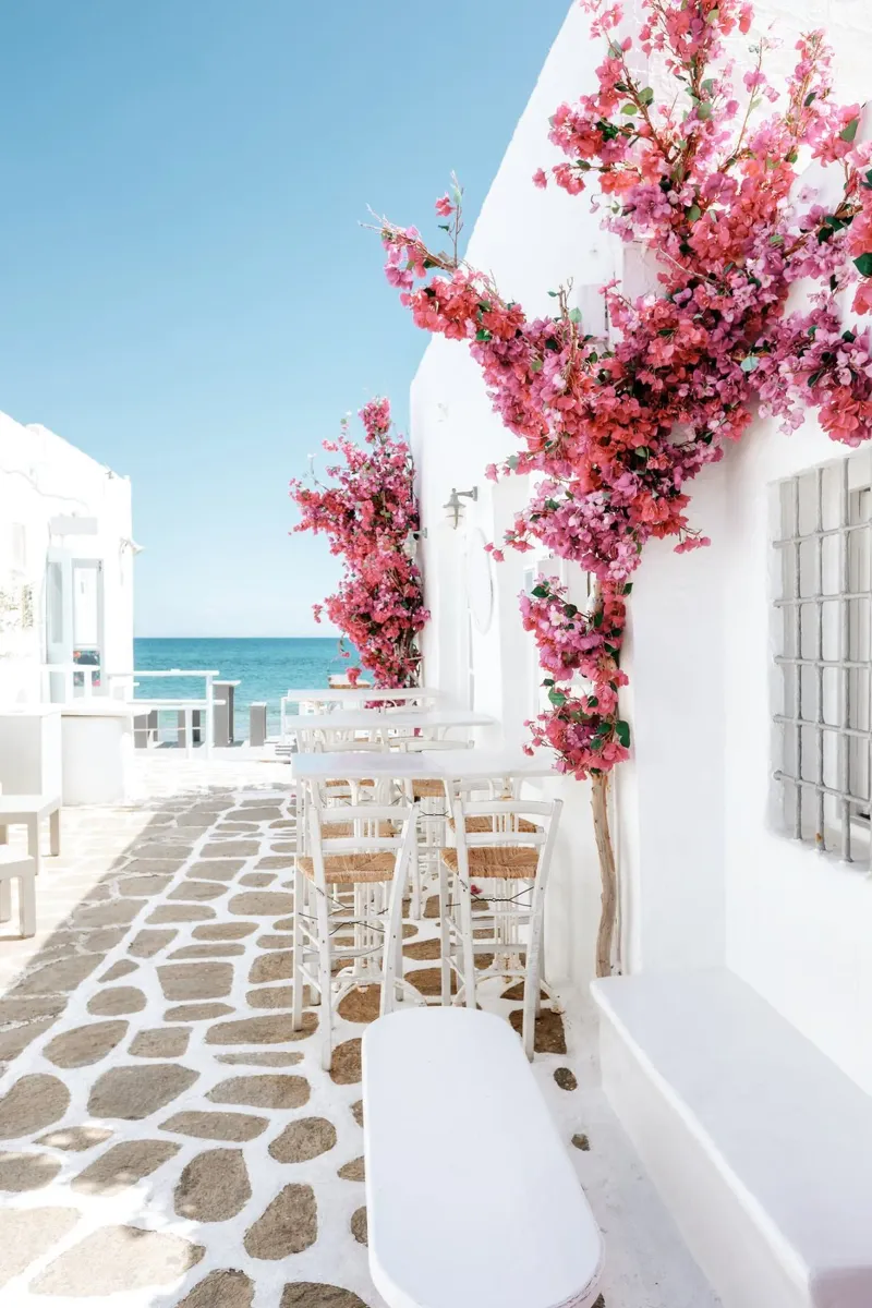Isole greche Paros pellicola backlit da TheTravelClub