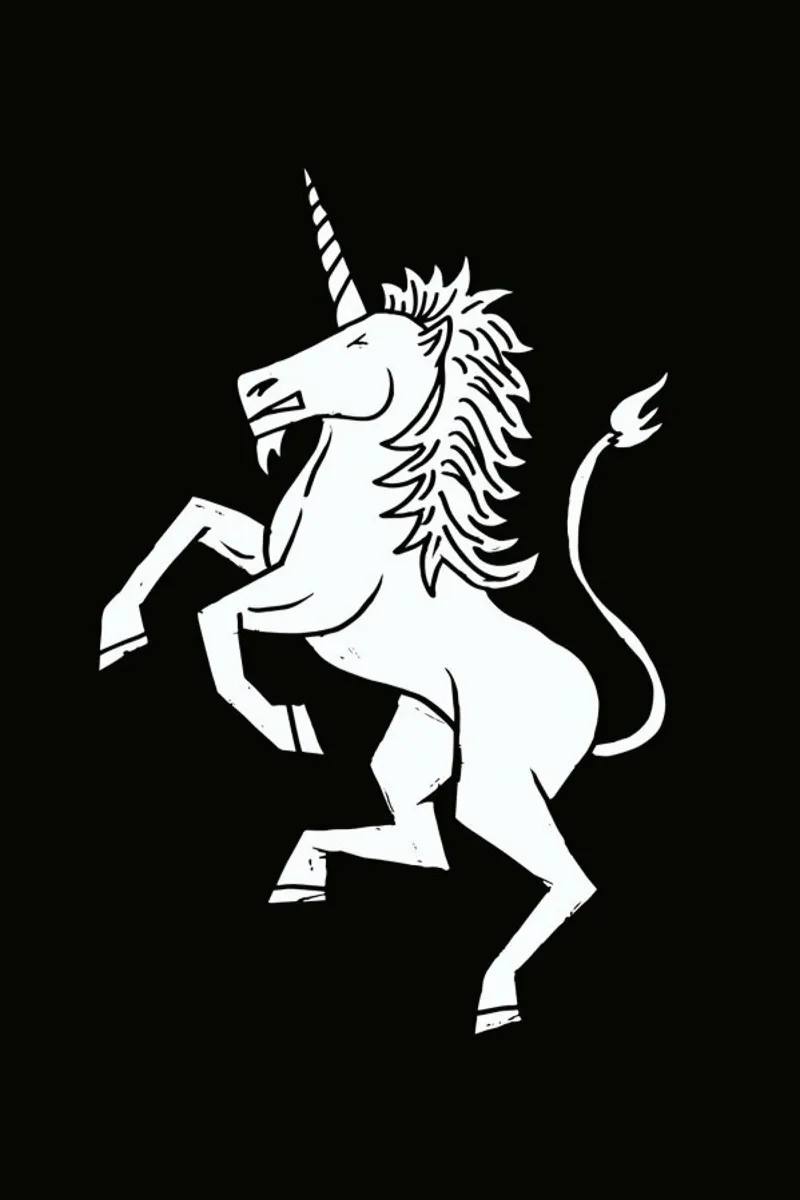Unicorn metacrilato de Matthew Taylor Wilson
