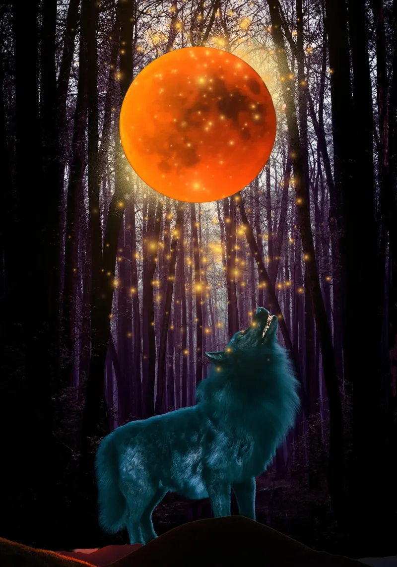 Lupo che ulula alla luna rossa alluminio dibond da Berwies Artwork