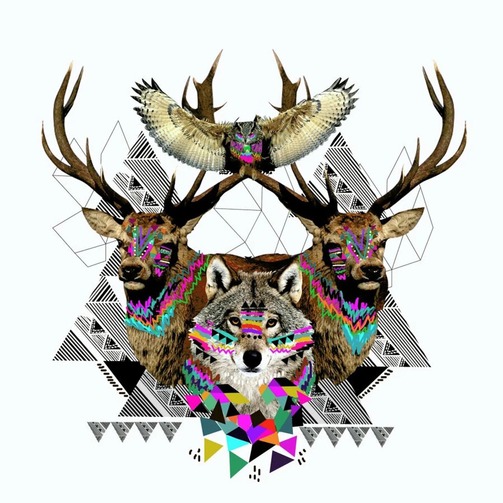 Forest Friends Poster von Kris Tate