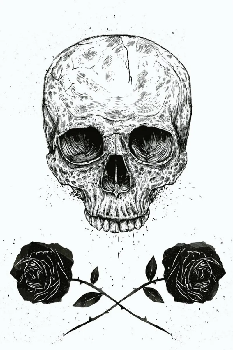 Skull N' Roses pellicola backlit da Balazs Solti