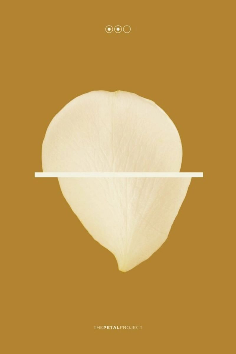 Petal Project No. 02 pellicola backlit da Bryon S. White