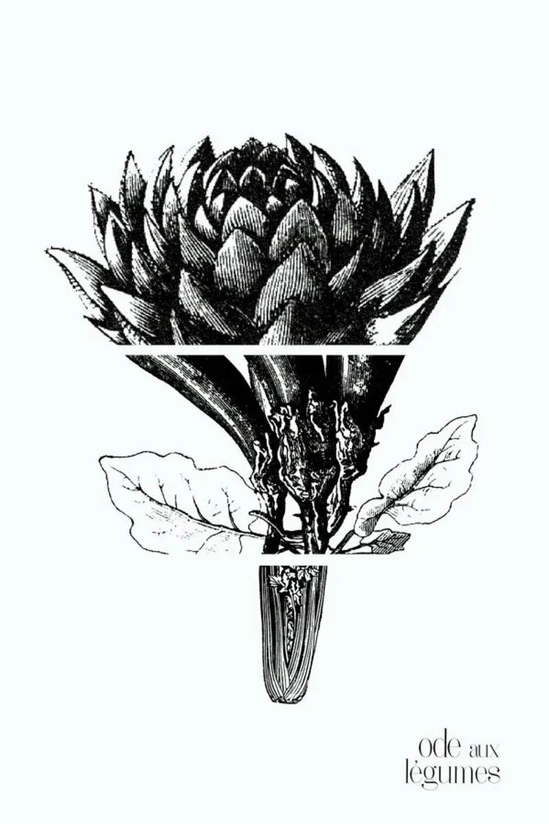 Ode aux Légumes - 1 poster con telaio in alluminio da BlauMaschine