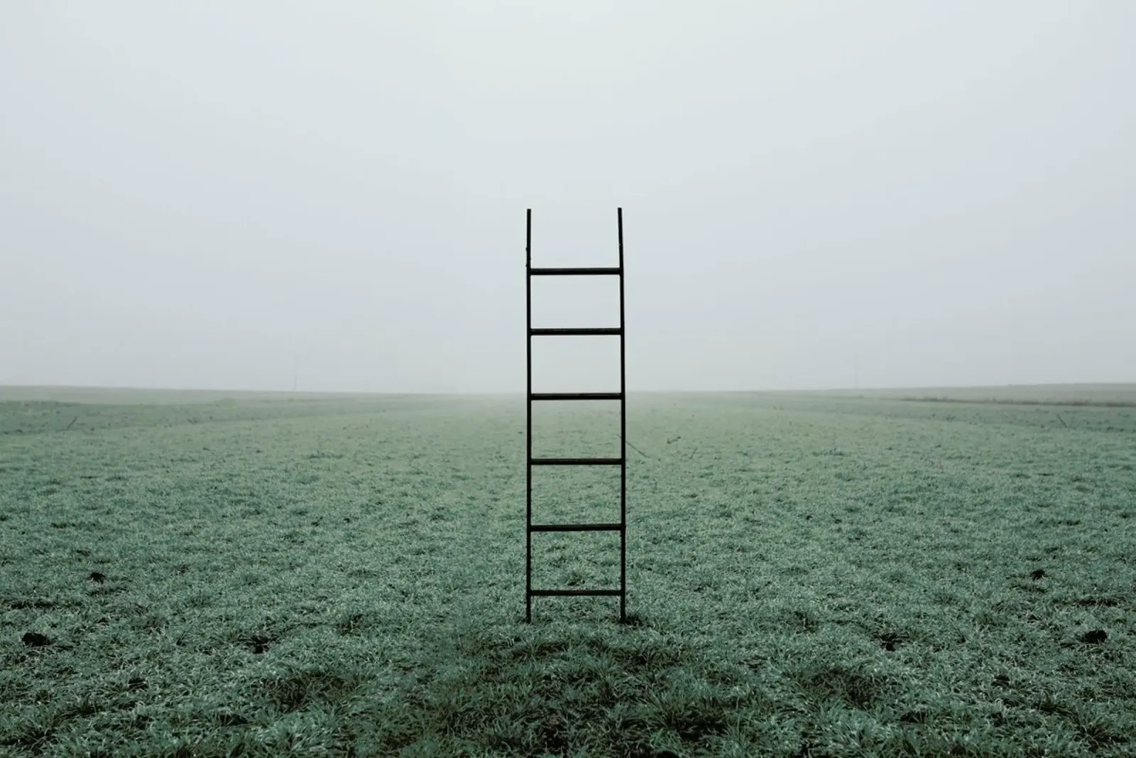 Ladders pellicola backlit da Jovana Rikalo