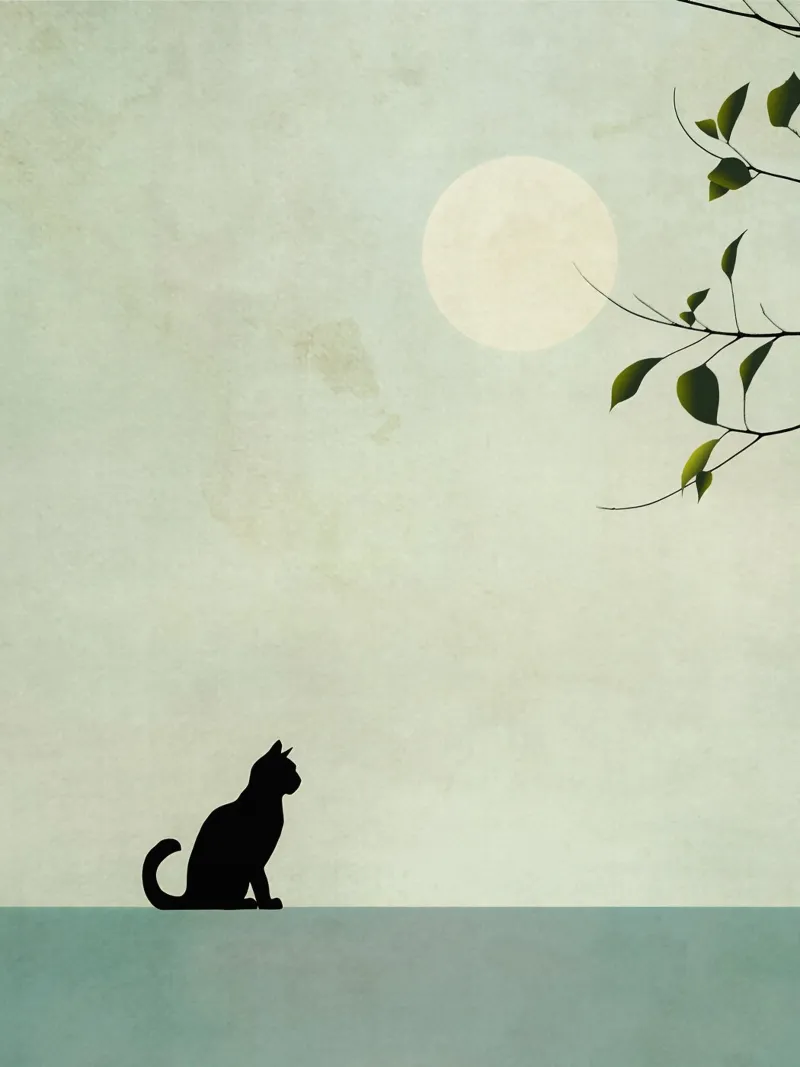 The cat and the moon backlit film by LaylaOzHome