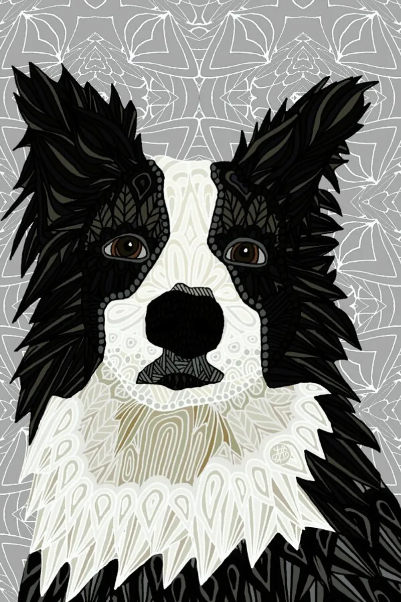 Border Collie plexiglass da Angelika Parker