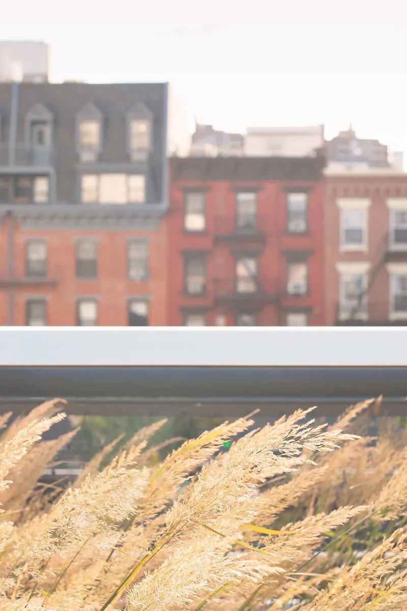 New York, USA I Natura sulla High Line nello skyline bohémien pellicola backlit da Julie Travel Photography