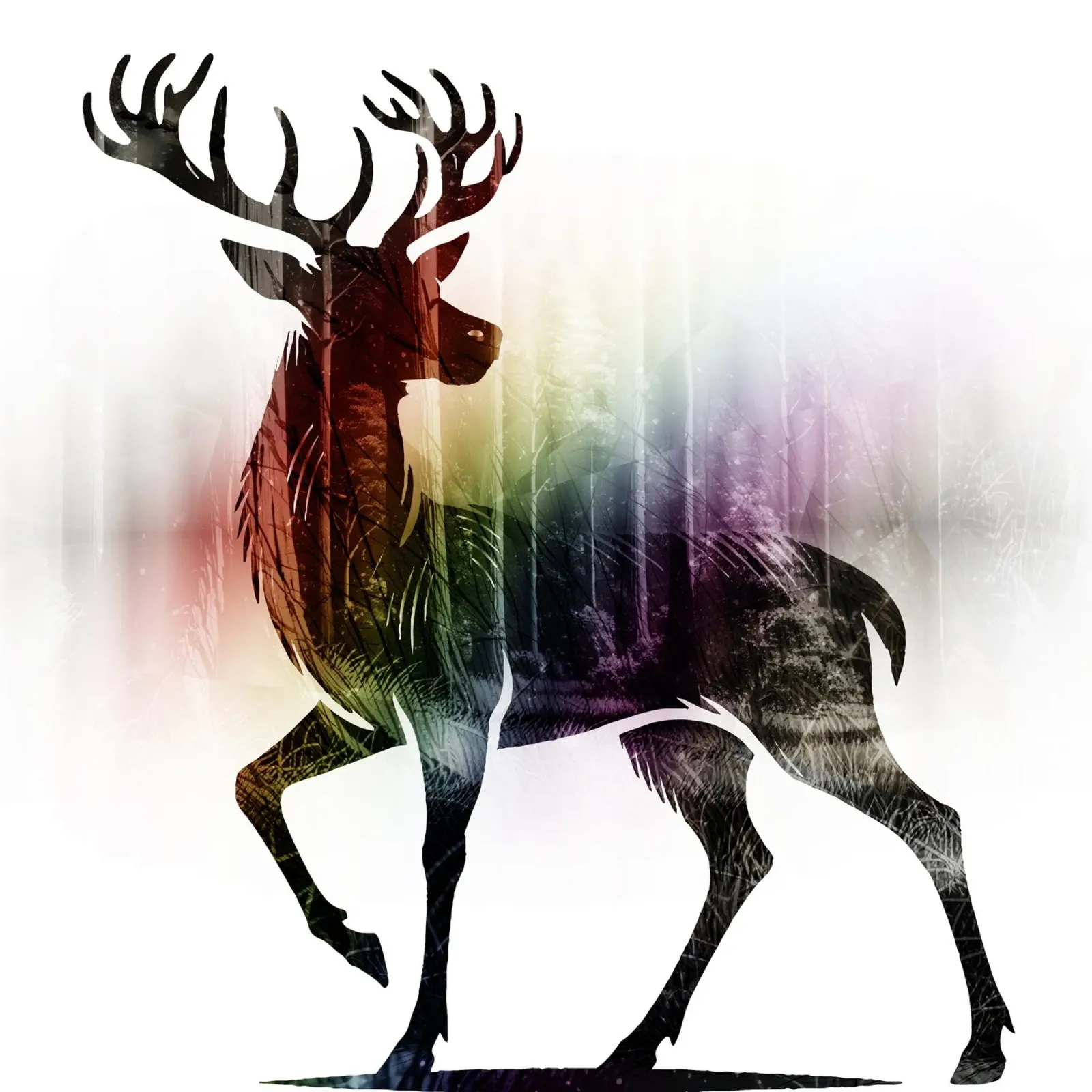Silhouette con motivo di cervo e delicati colori dell'arcobaleno pellicola backlit da namosh
