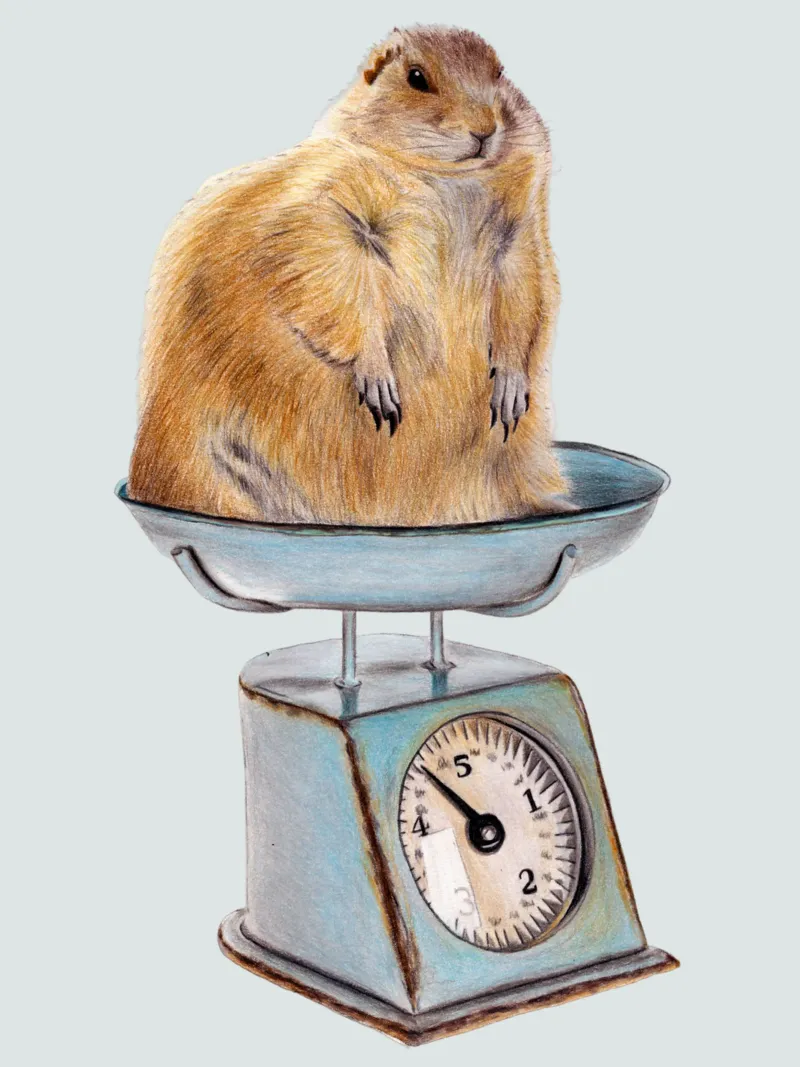 The shock on the scales poster with plastic frame by Graphit und Farbe