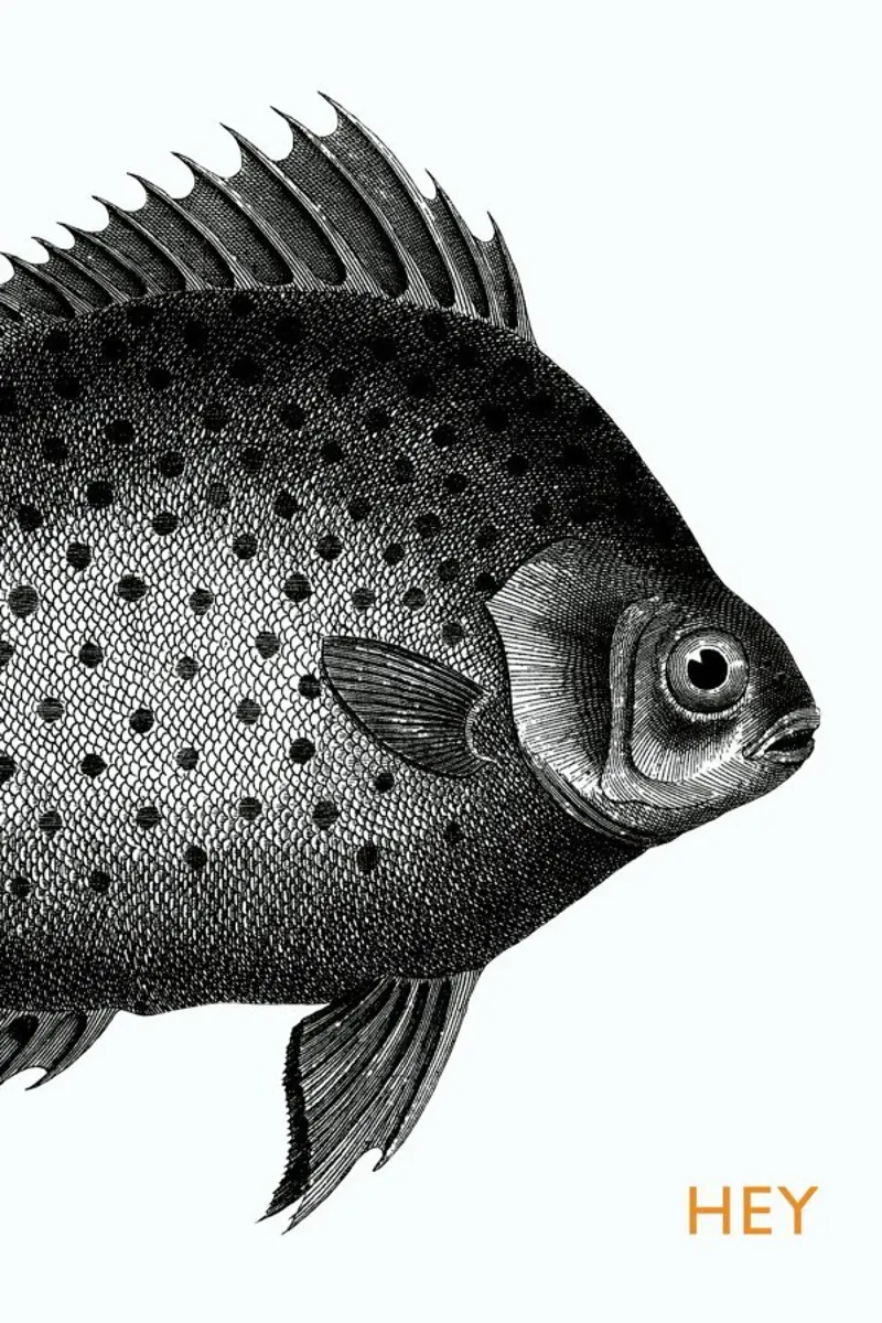 Hey Fish tela con Cornice a cassetta da The Gently Unfurling Sneak