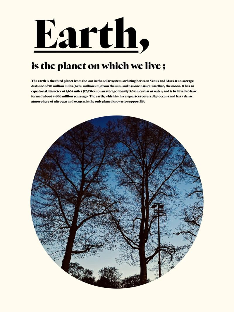 Earth Poster von natural neutral