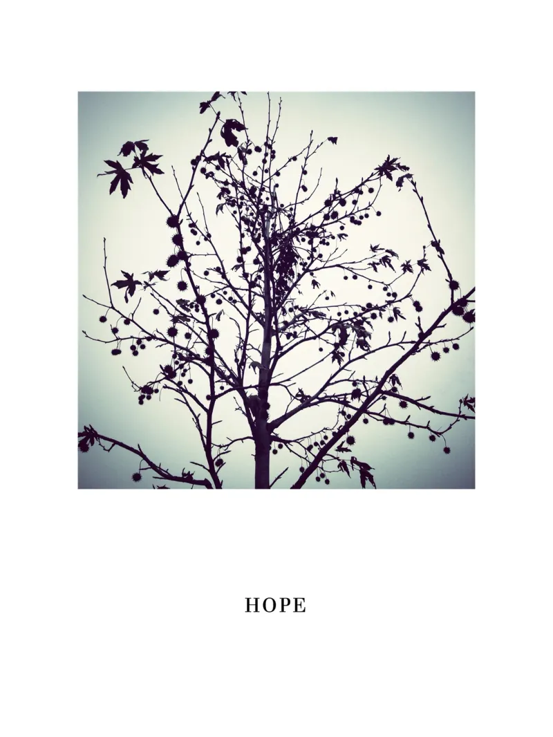 HOPE TREE pellicola backlit da natural neutral