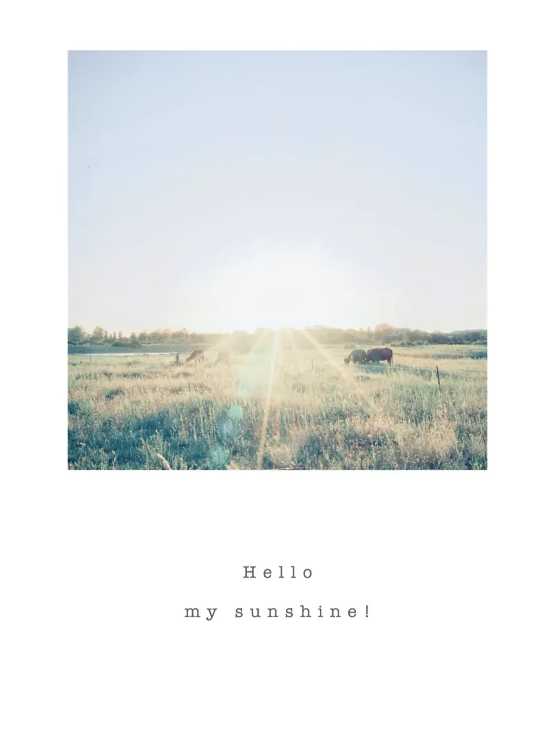Hello, my sunshine! pellicola backlit da natural neutral