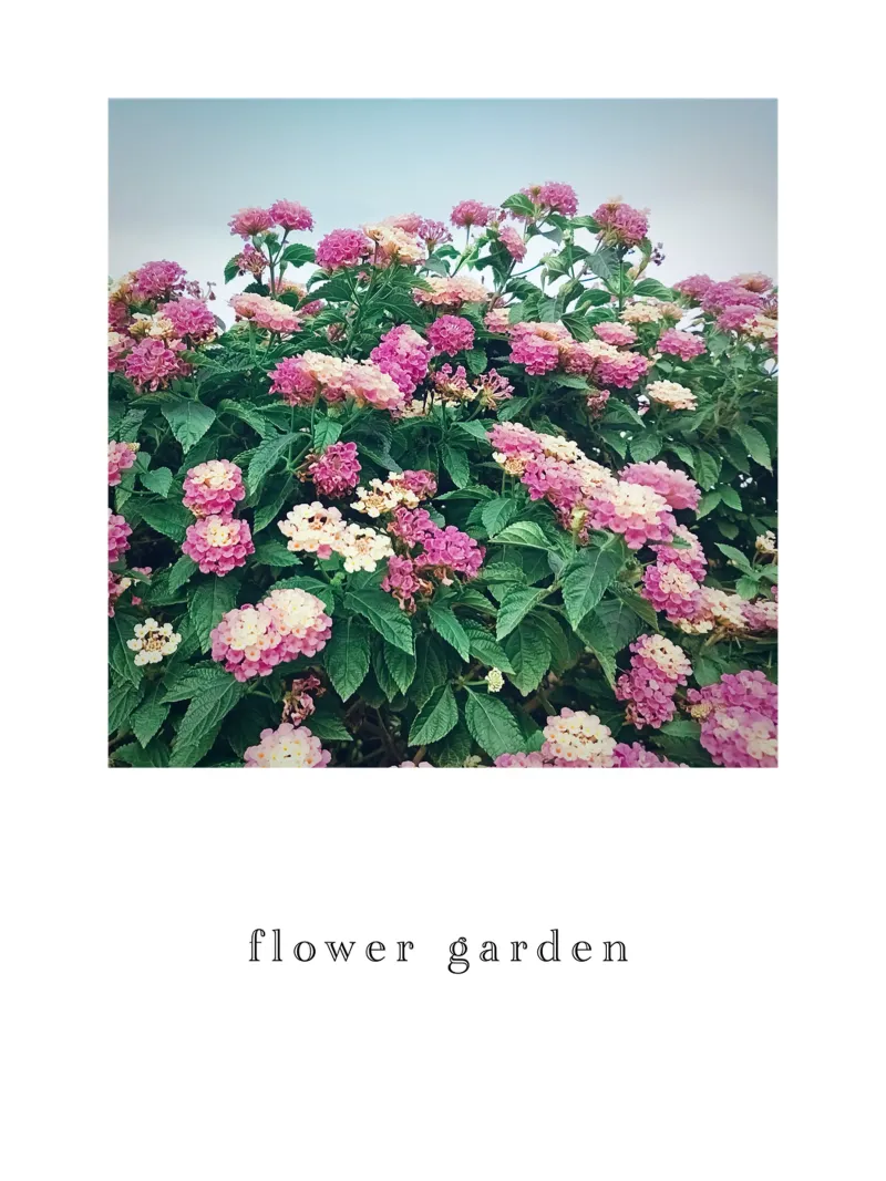 flower garden acrylic glass by natural neutral
