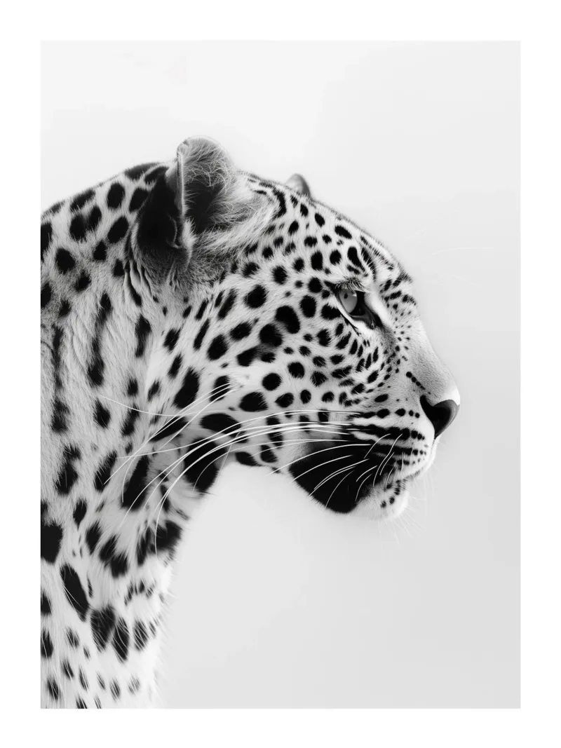Elegante ritratto di leopardo poster con telaio in plastica da Monochrome