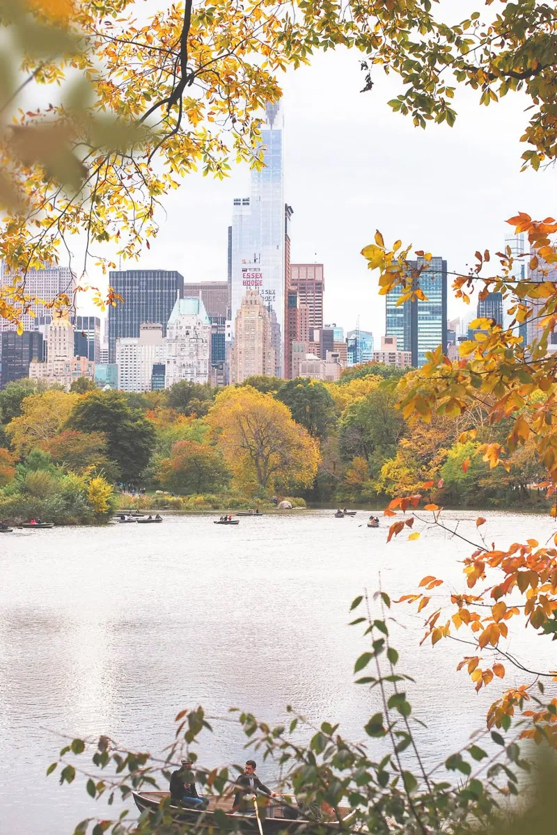 New York, USA I Central Park lago in natura bokeh pellicola backlit da Julie Travel Photography
