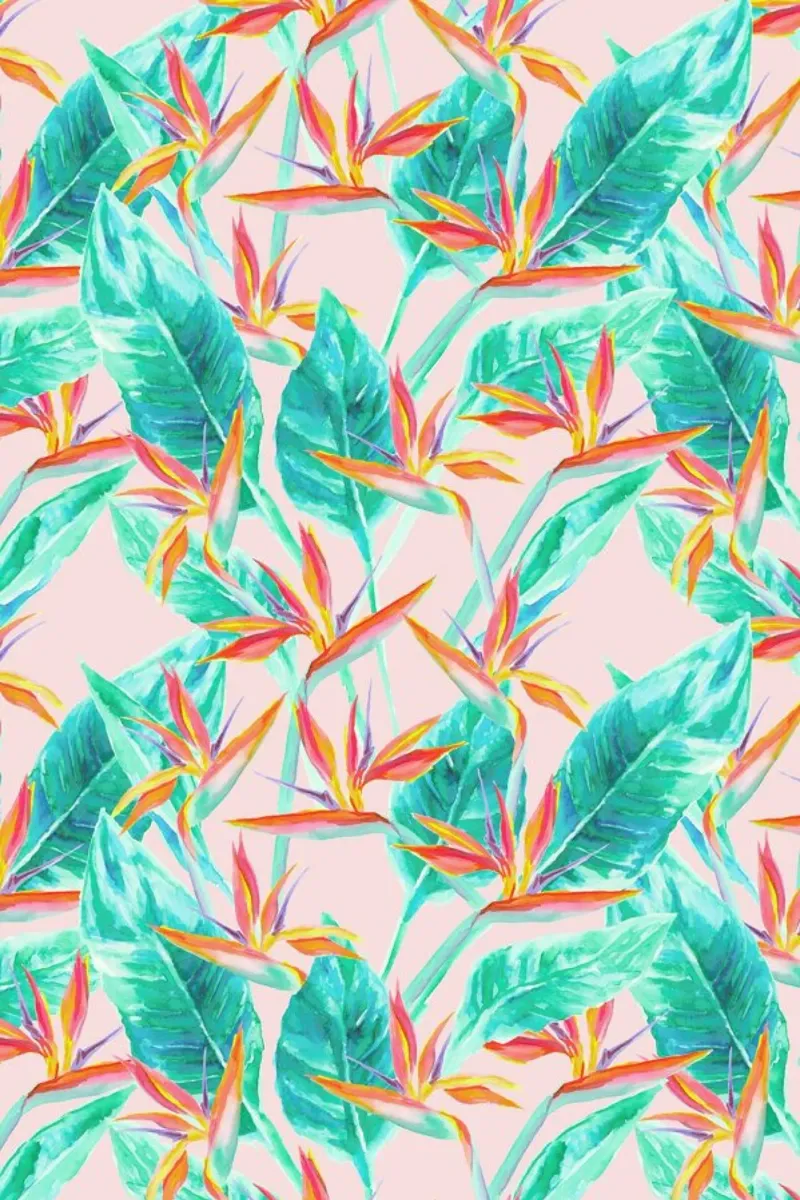 Birds Of Paradise pellicola backlit da Jacqueline Maldonado