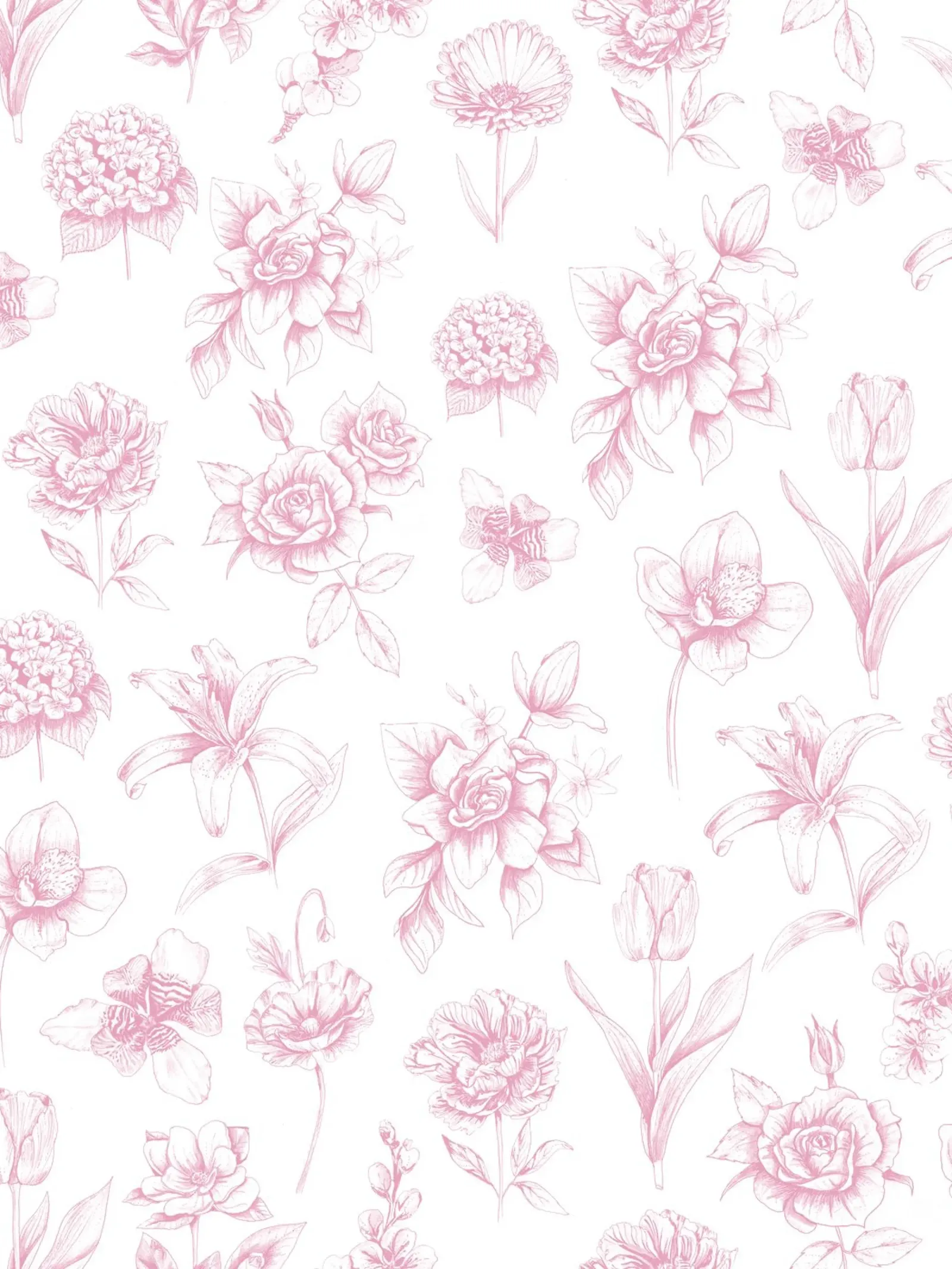 Pink Floral Toile Pattern pellicola backlit da anisillustration