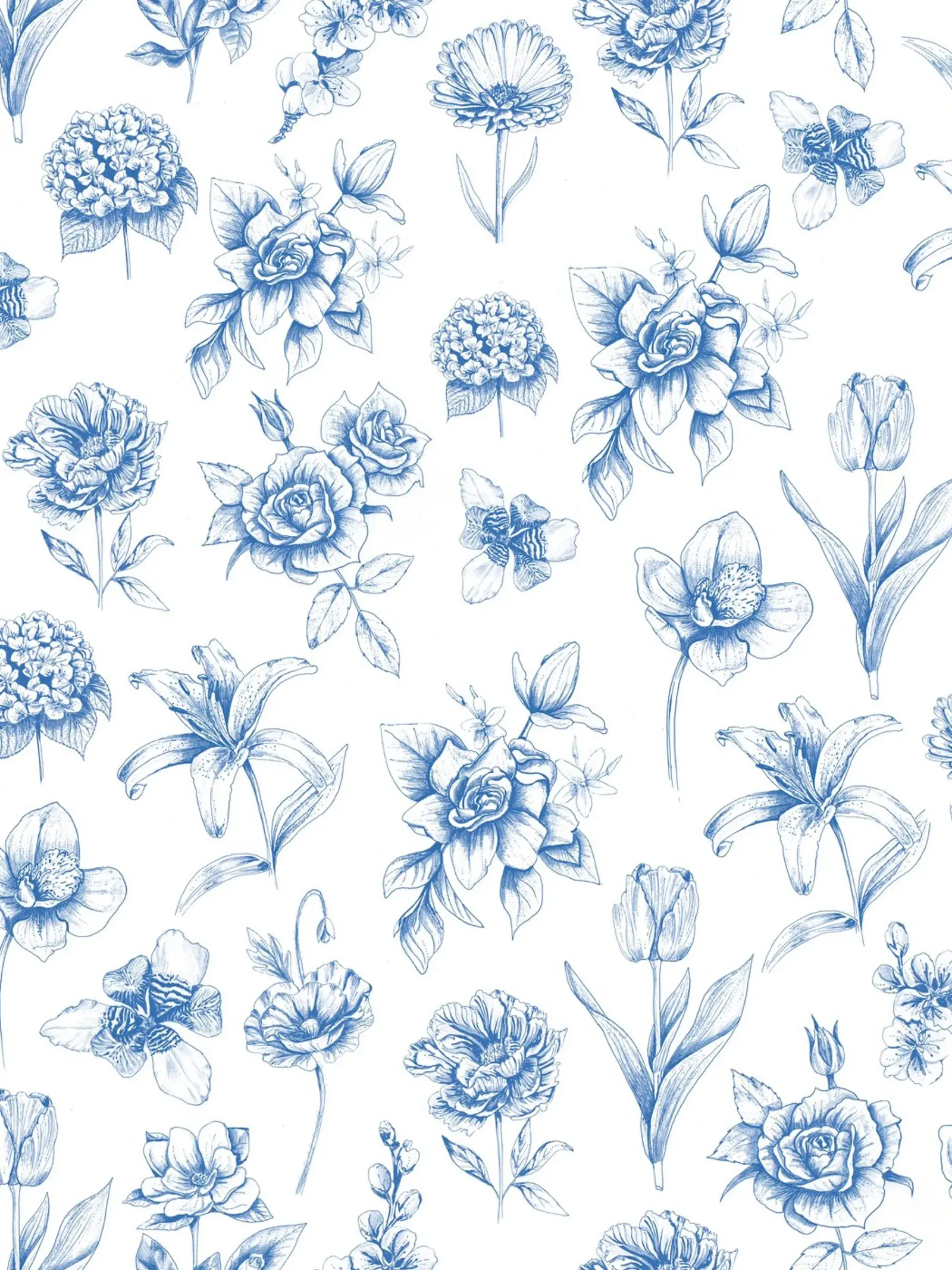 Blue Floral Toile Pattern pellicola backlit da anisillustration