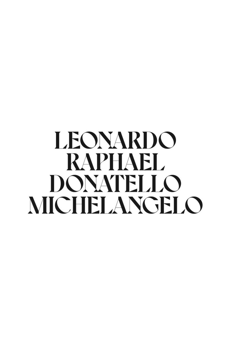 LEO, RAPH, DONNIE & MIKEY poster by n.4