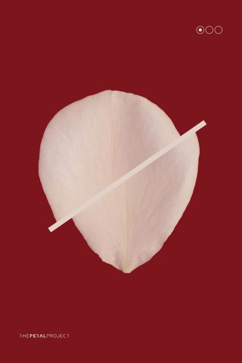 Petal Project No. 01 pellicola backlit da Bryon S. White