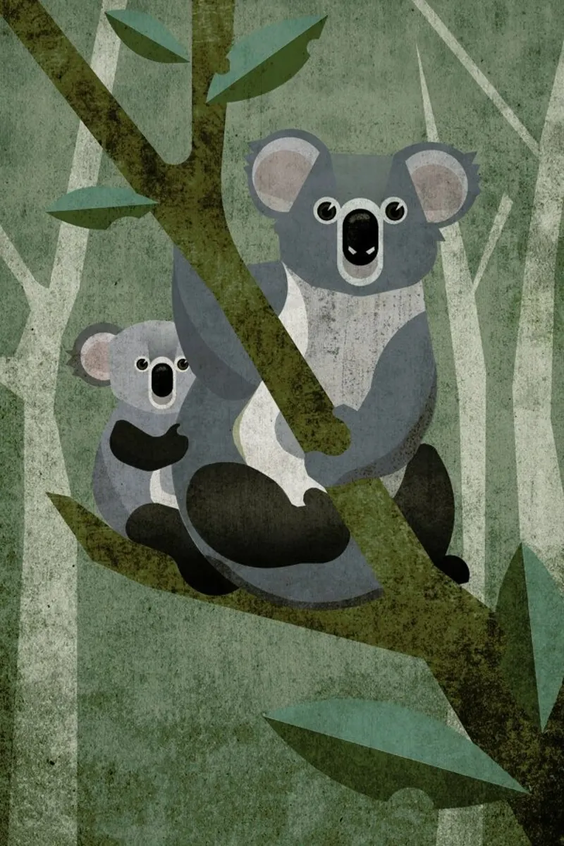 Koala pellicola backlit da Sabrina Ziegenhorn
