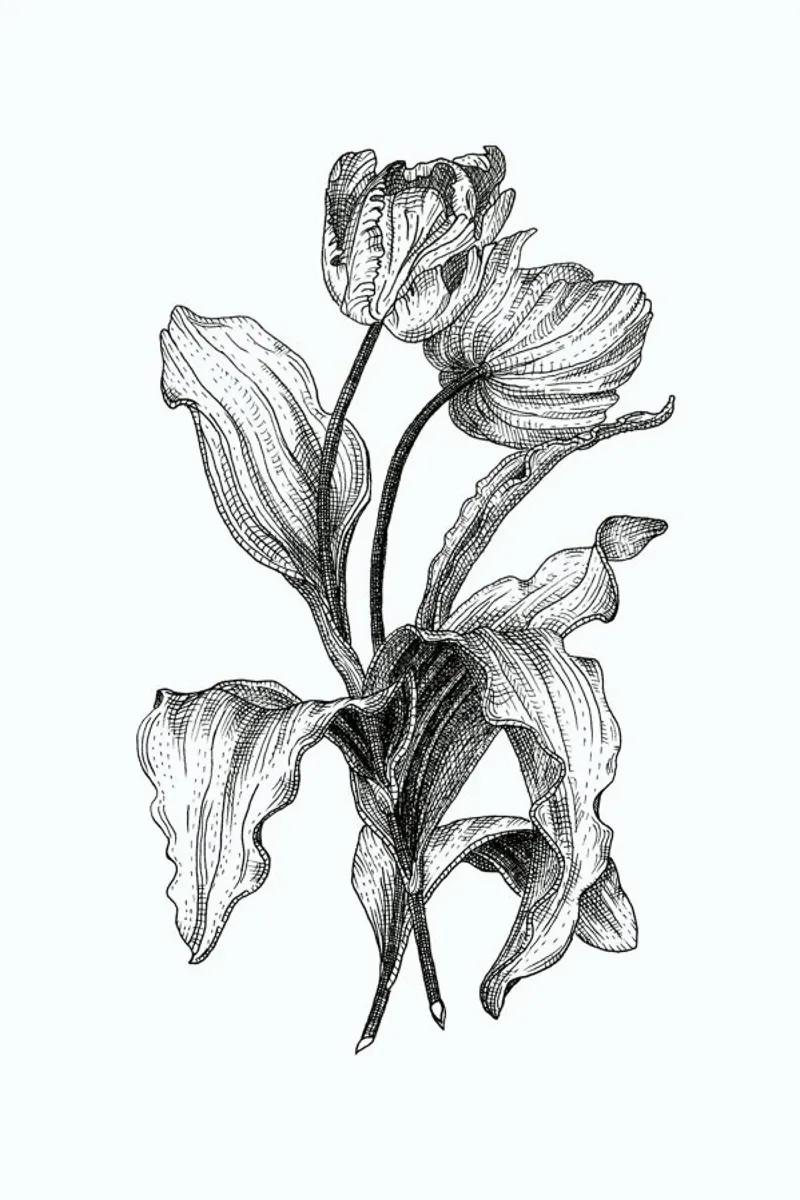 Tulips pellicola backlit da Pen & Ink
