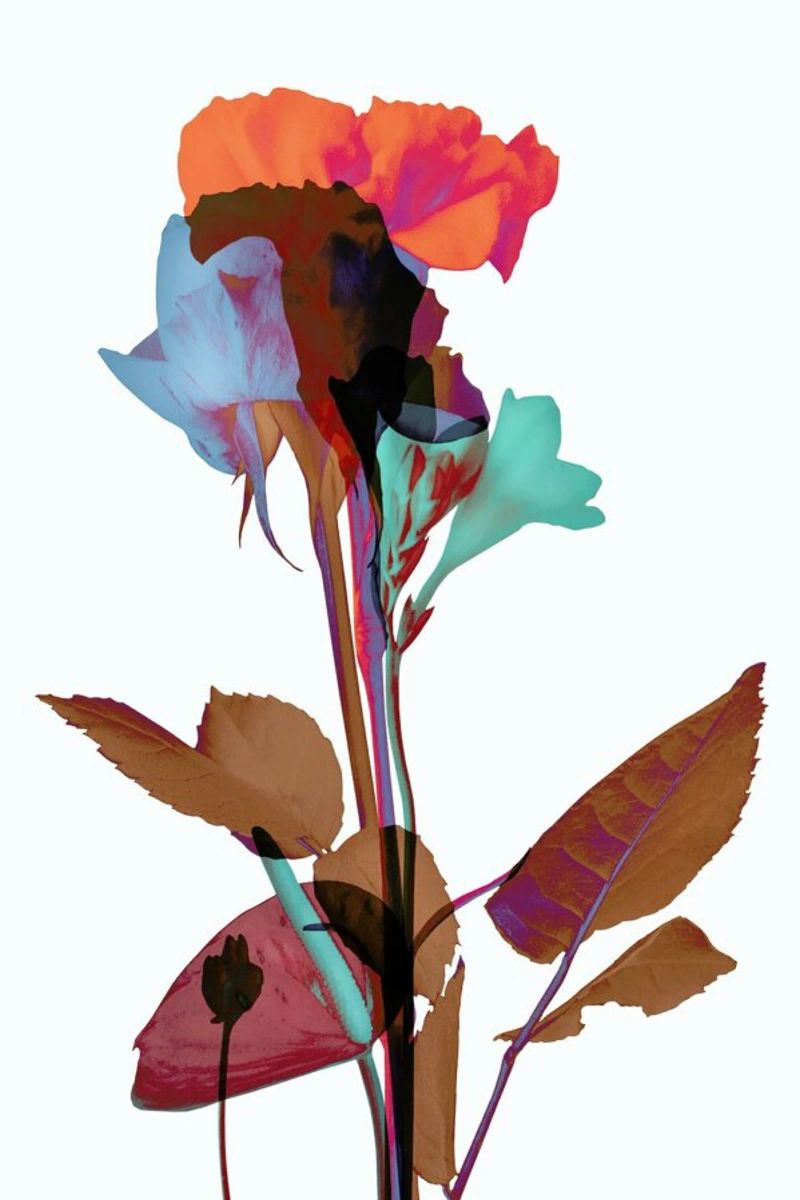 Ode aux Fleurs (Orange-Blue-Mint) poster de BlauMaschine