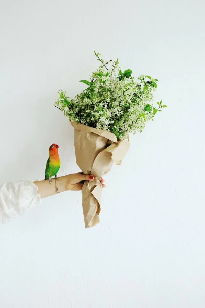 Parrot And A Girl poster con telaio in alluminio da Jovana Rikalo