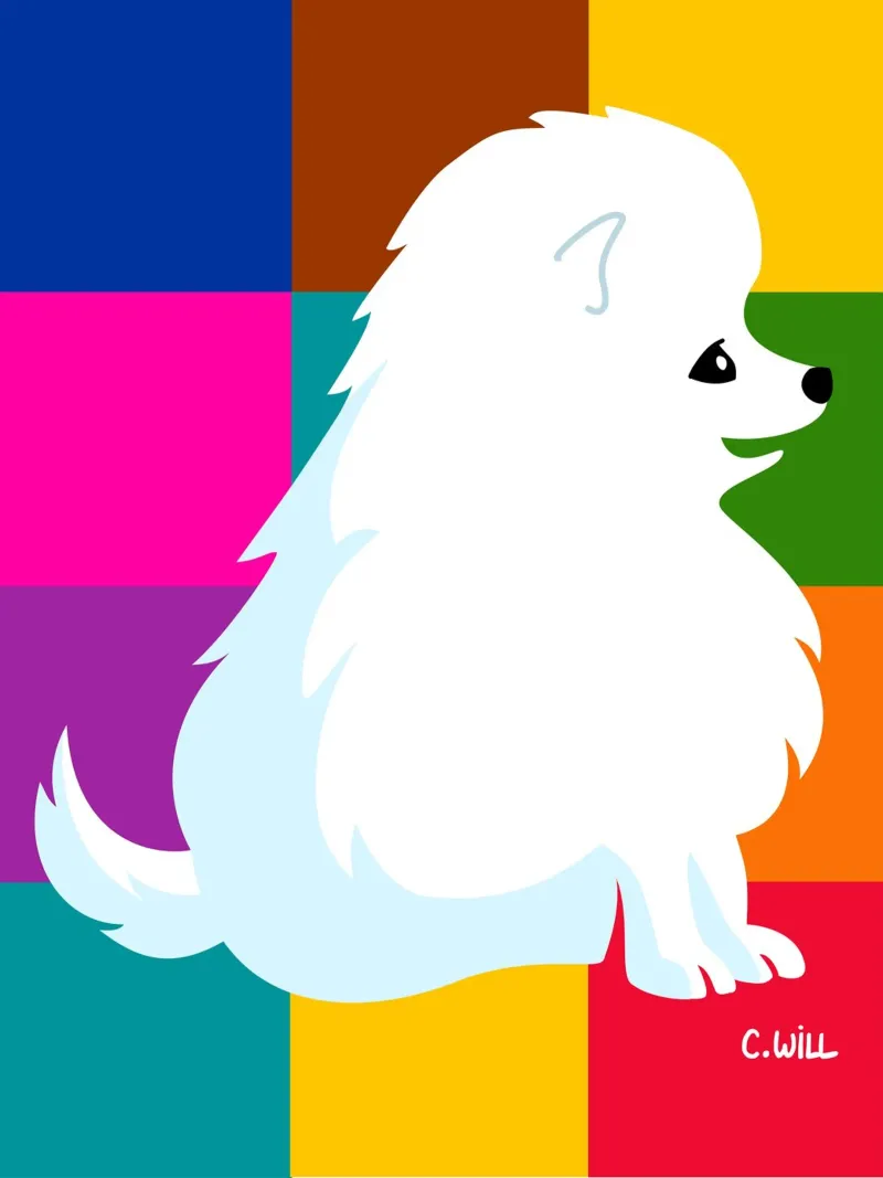 Piccolo spitz bianco pellicola backlit da Pop dogs