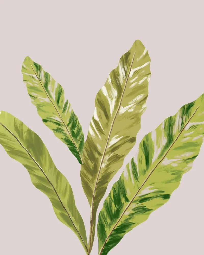 Green Fern Leaves poster con telaio in legno da anisillustration