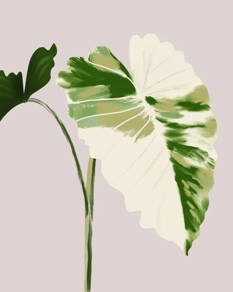 Tropical Leaf pellicola backlit da anisillustration