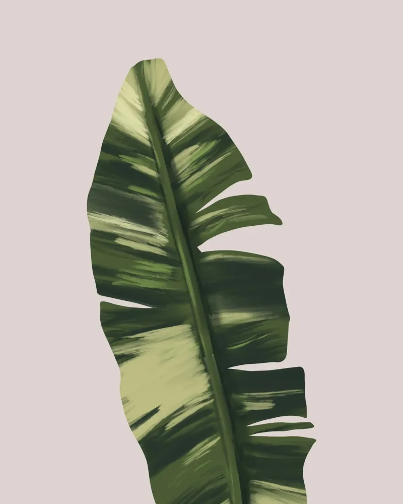 Banano Leaf pellicola backlit da anisillustration