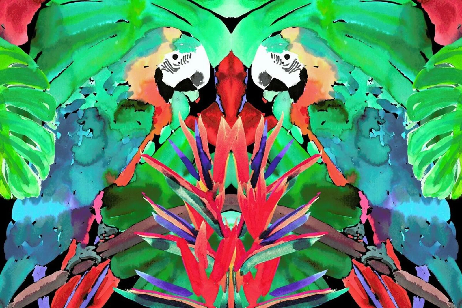 Parrot poster de Amy Sia