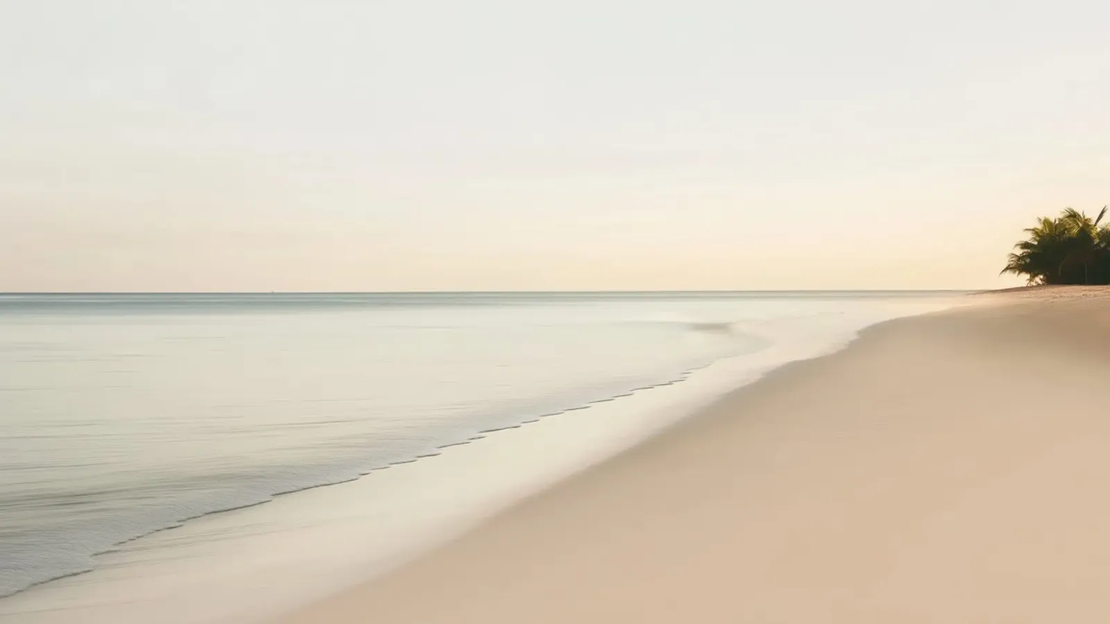La spiaggia pellicola backlit da Imagine