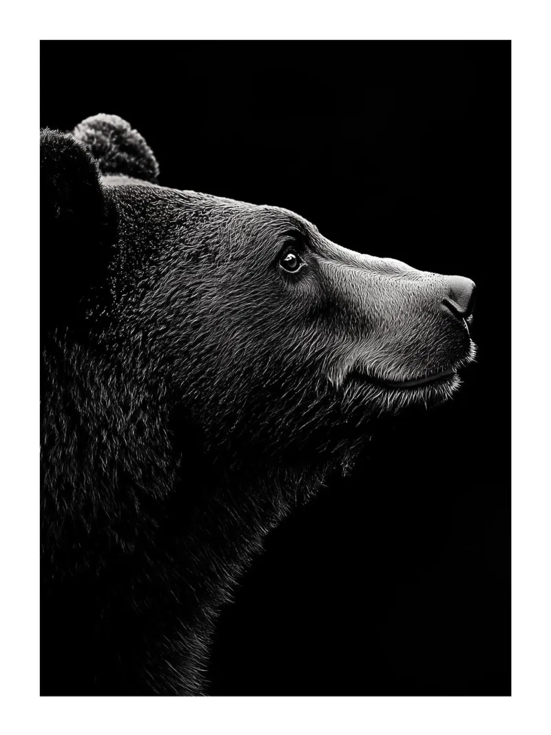 Elegante profilo di un orso plexiglass da Monochrome
