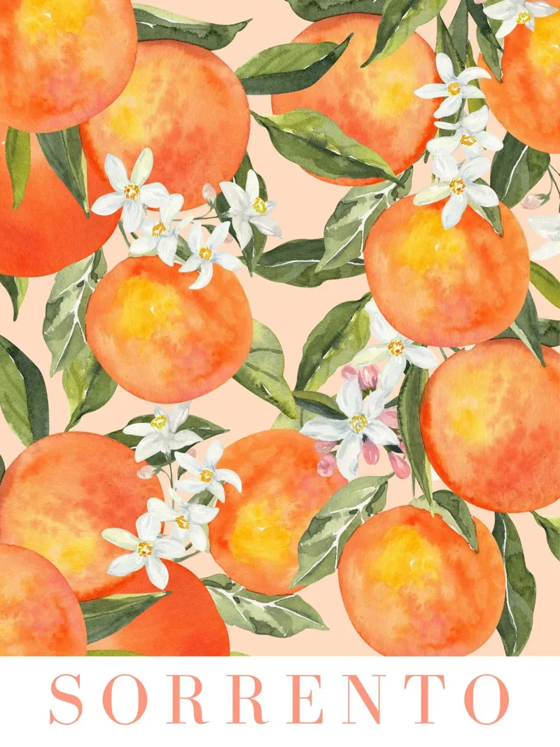 Sorrento Orange Print forex plate by Bella Studio