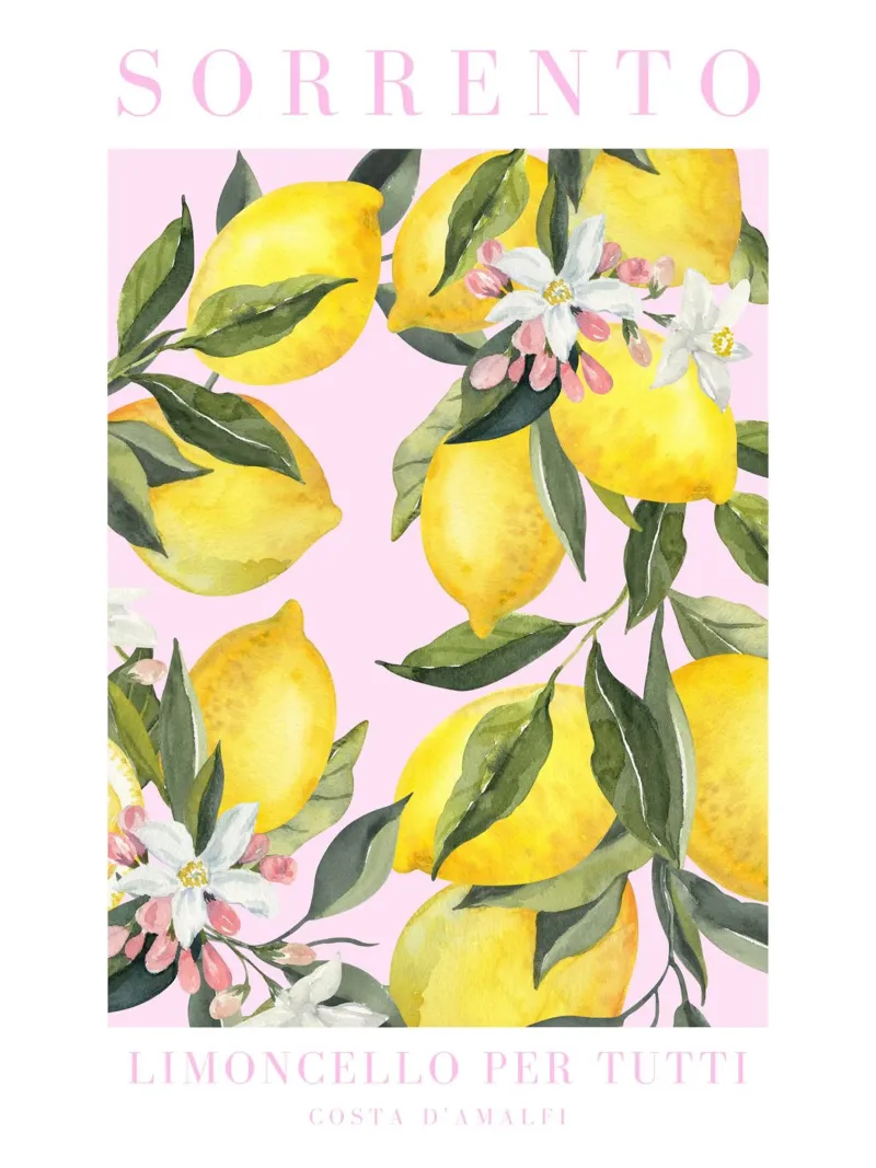 Pink Lemon Amalfi Coast Print, La Dolce Vita, Sorrento Print plexiglass da Bella Studio
