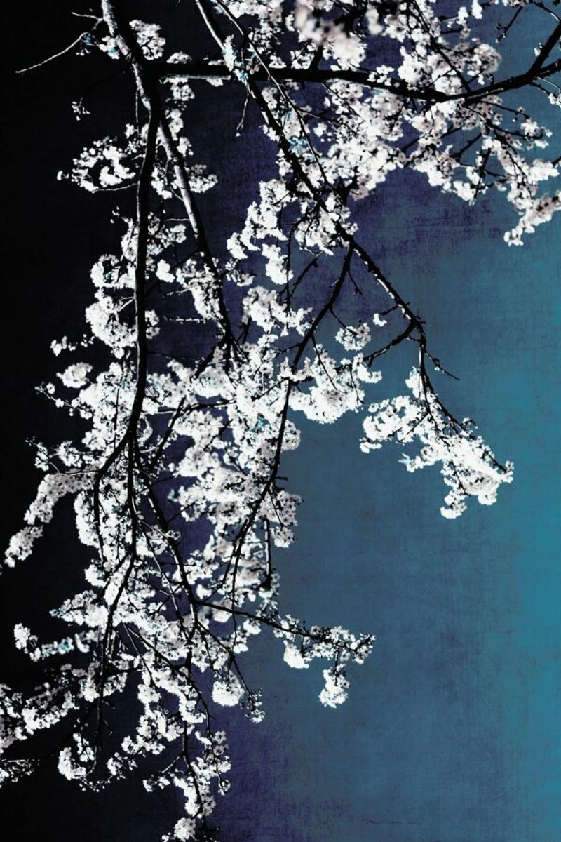 Flowers Poster von Ingrid Beddoes