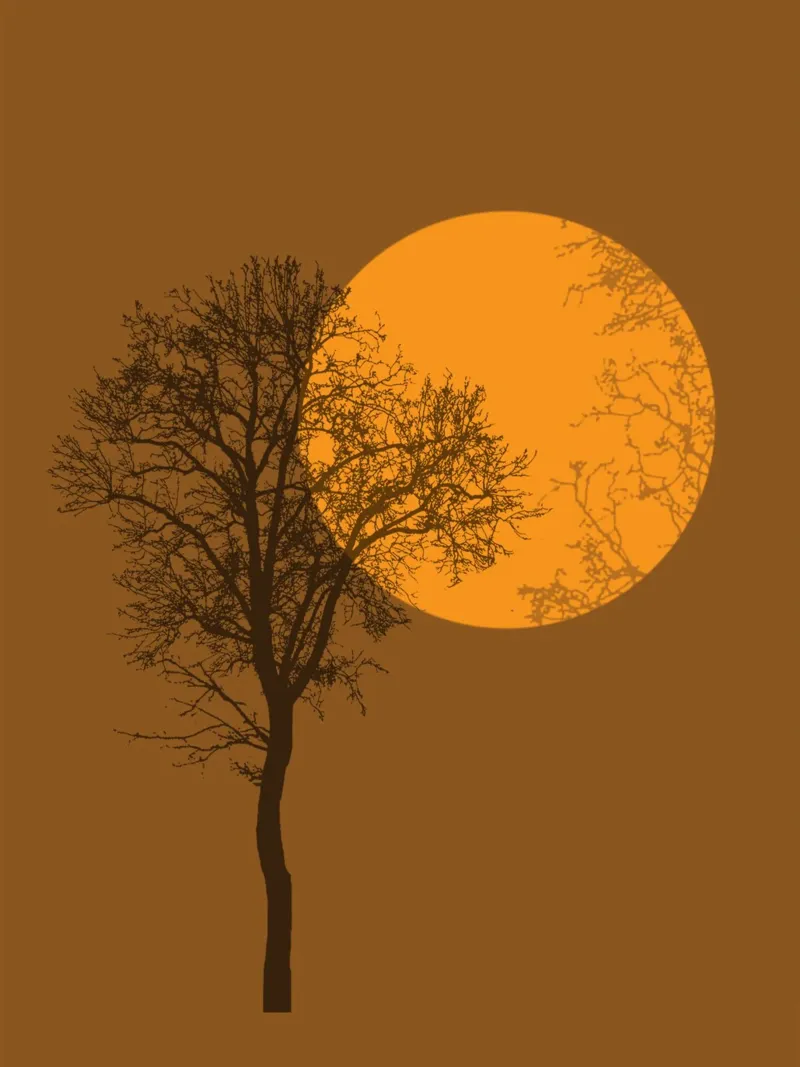To The Moon pellicola backlit da ArtColorCreation