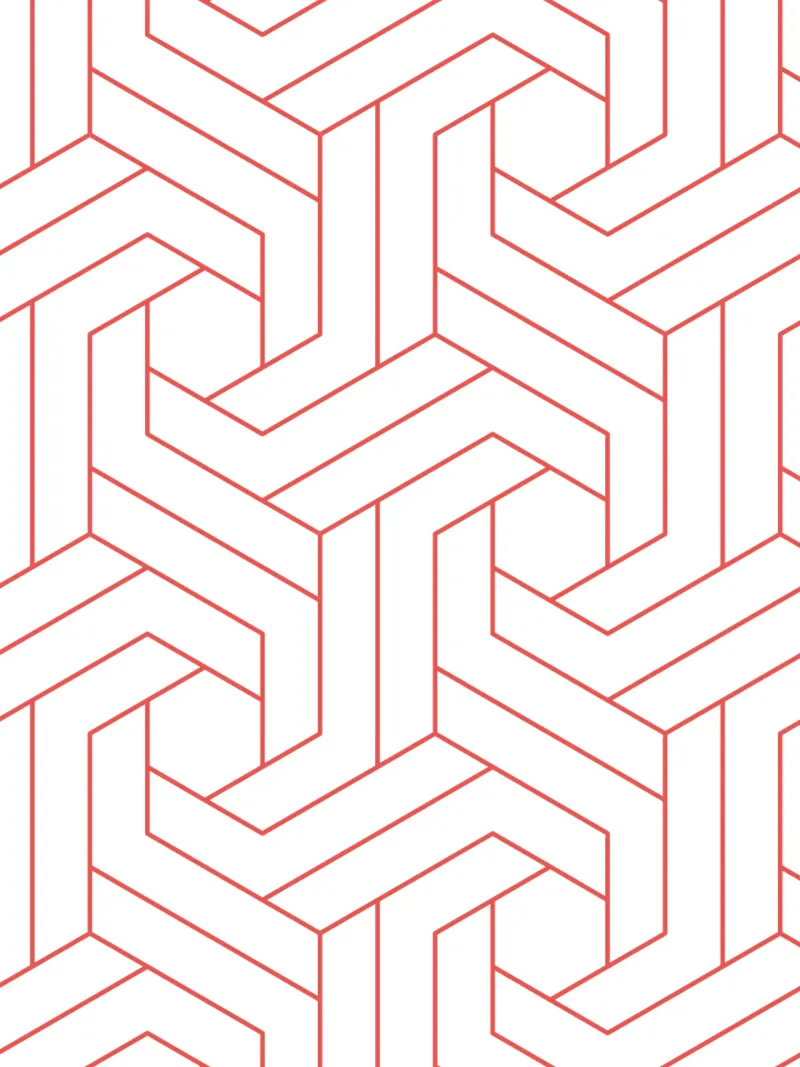 Red and White Geometric Pattern canvas by Shark Printables
