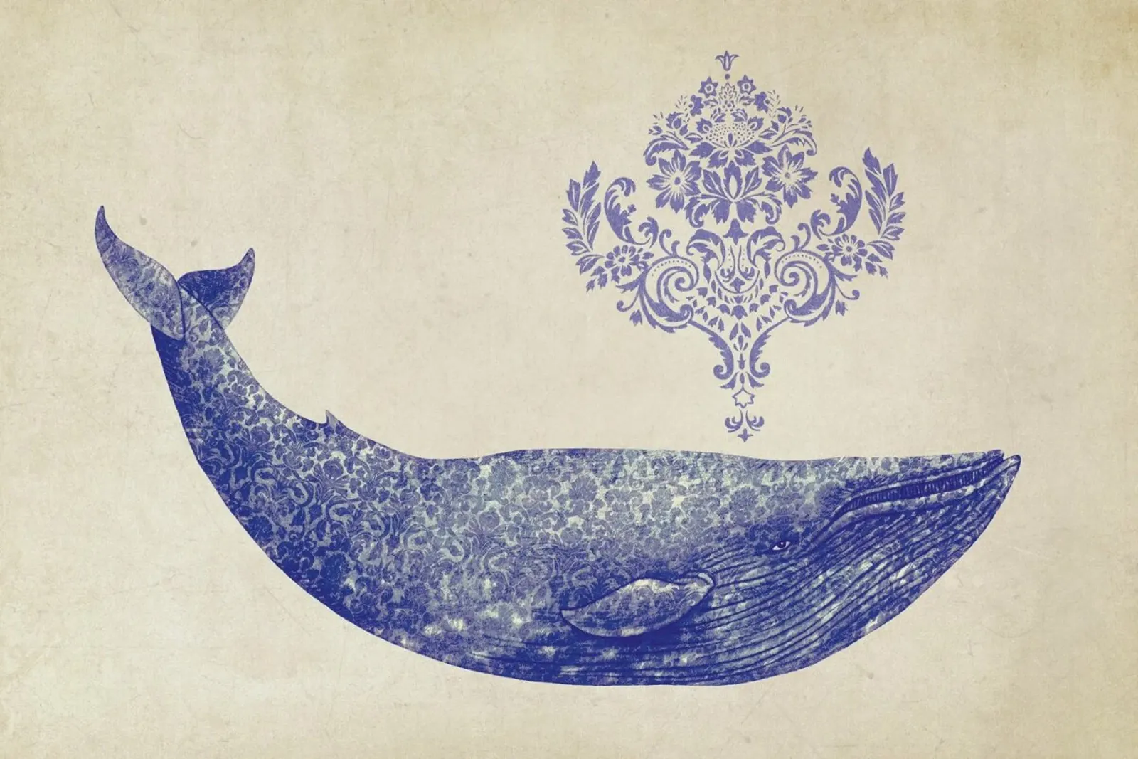 Damask Whale pellicola backlit da Terry Fan