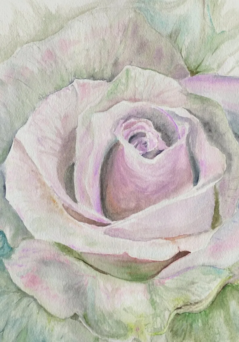 Alpha Rose poster by Eva Nev Watercolor