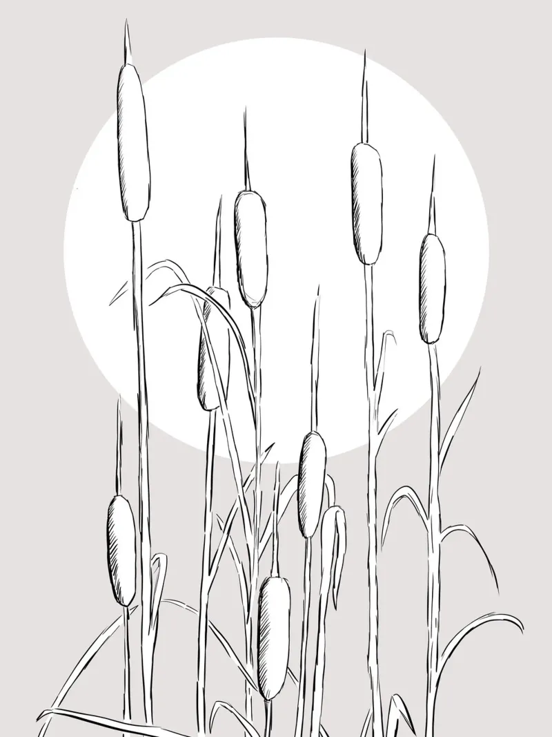 At the lake - Linienzeichnung Line Art pellicola backlit da BAINAI