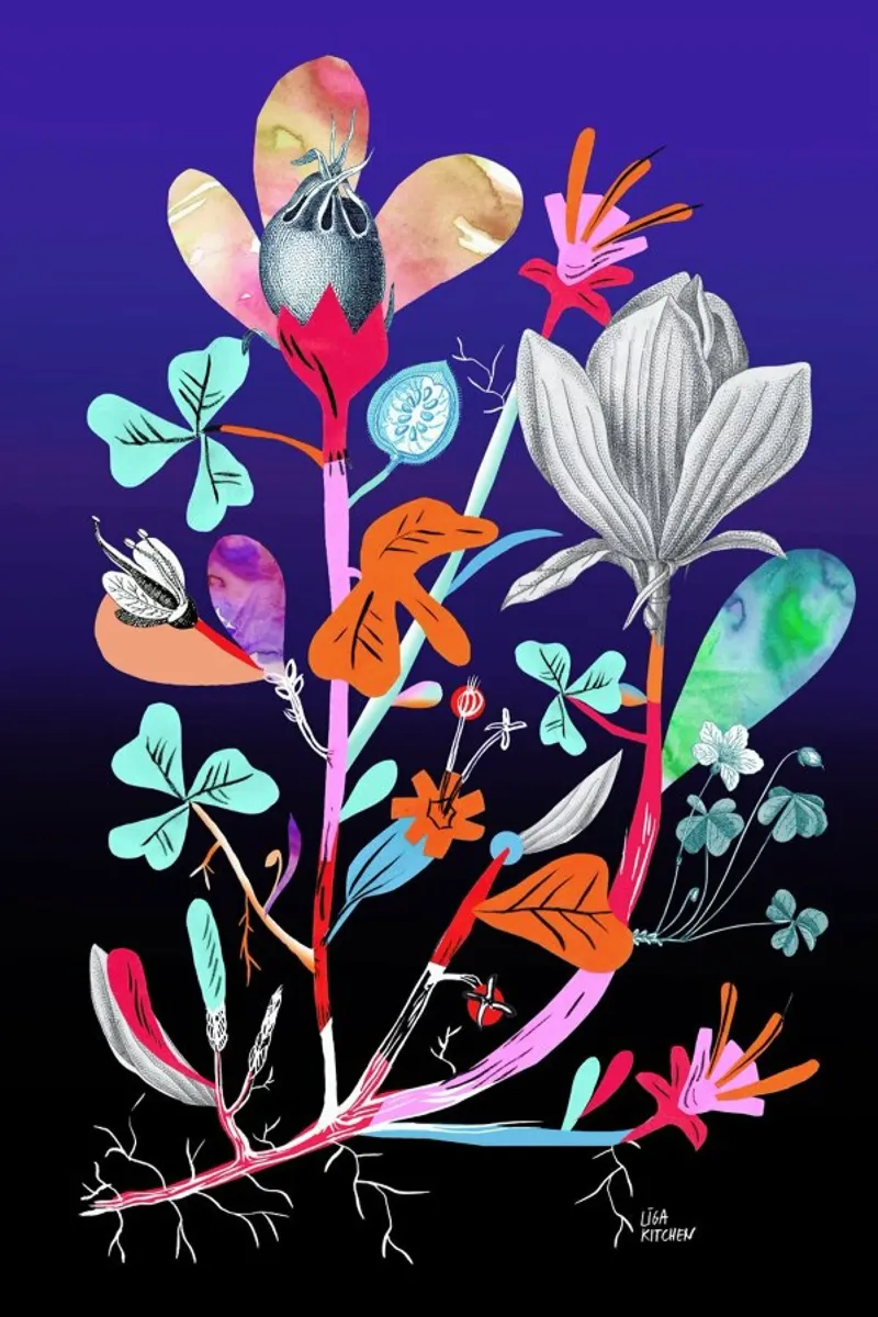 Botanica Blue plexiglass da Liga Kitchen
