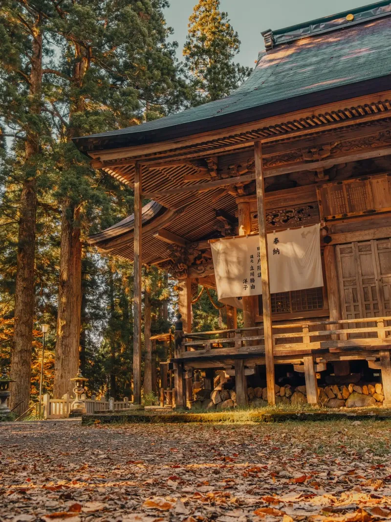 Il santuario di Togakushi in autunno - Nagano, Giappone pellicola backlit da Marcel Bisig