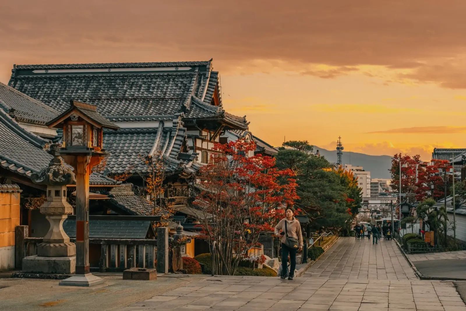 Tramonto d'autunno a Nagano, Giappone pellicola backlit da Marcel Bisig