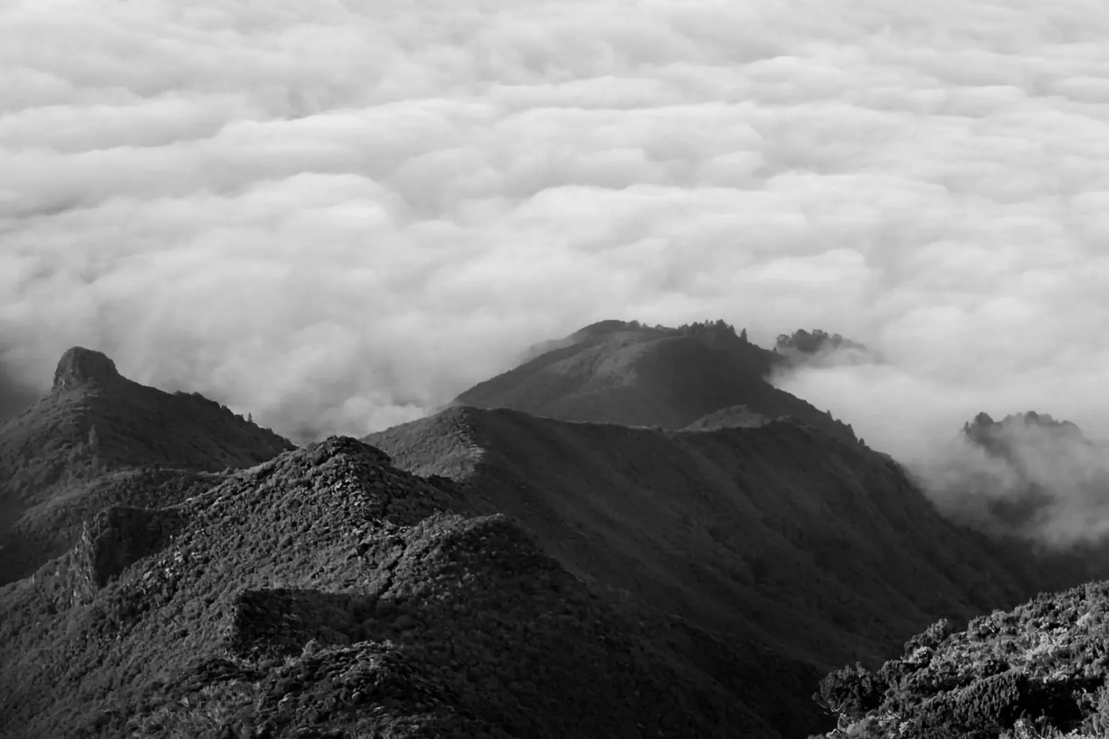 View over the Mountains - Madeira alluminio dibond da FEMK.