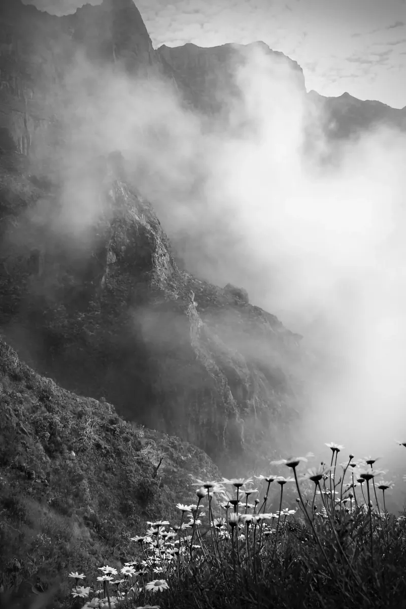 Flowers and Mountains in the Clouds - Madeira alluminio dibond da FEMK.